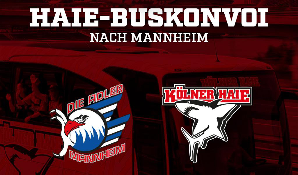 Anmeldestart für den Haie-Buskonvoi nach Mannheim